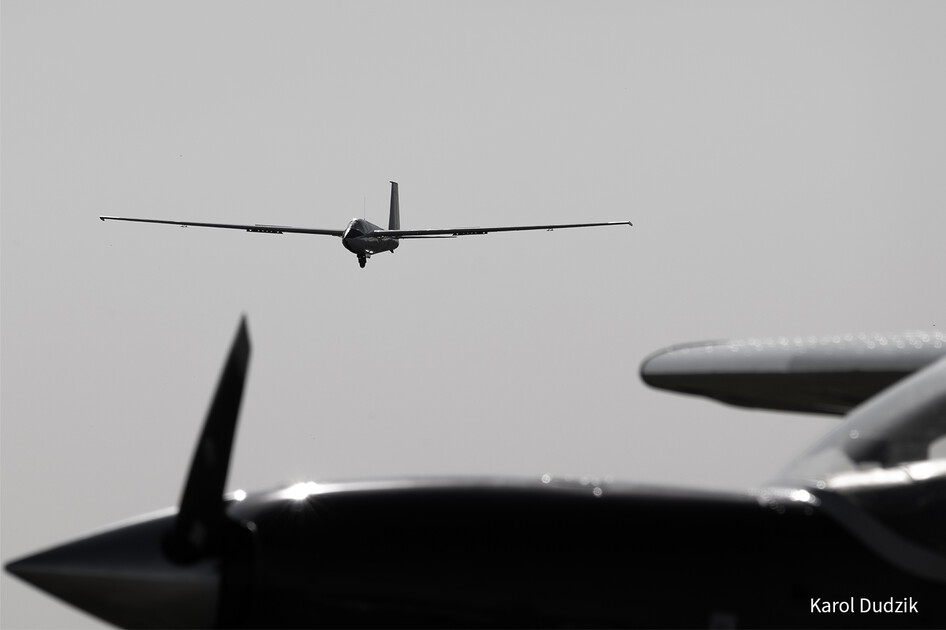 Szd-Allstar-Pzl-Glider-80th-Anniversary-Szd-Kobuz
